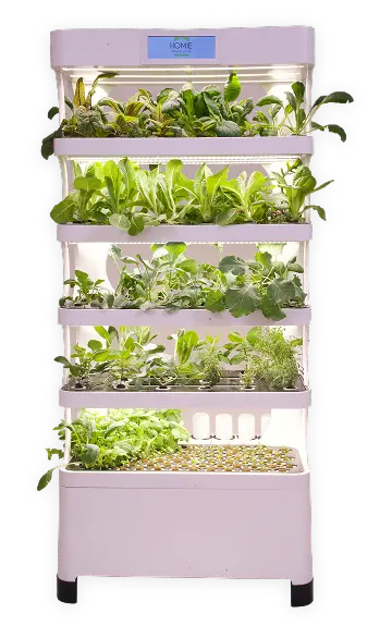 plant_tray