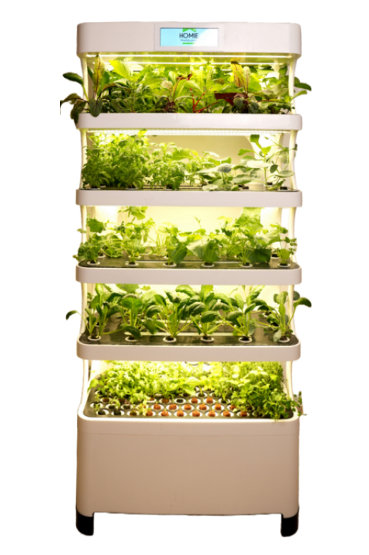 cultivatefreshness