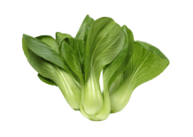 bokchoy