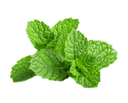 mint