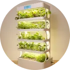 tray